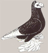 Бернбургский трубач