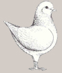 Кинги