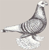 Фогтландский трубач
